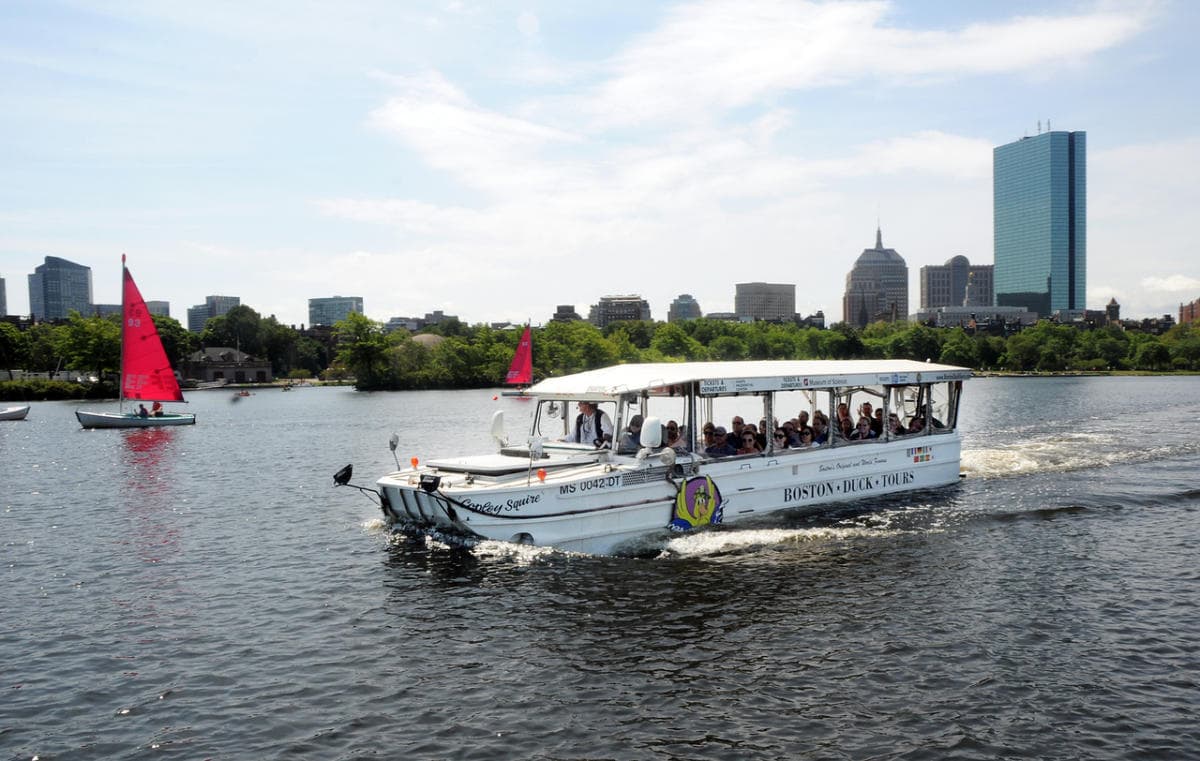 A Boston Duck Tours boat on the Charles River with the Back Bay skyline and red-sailed dinghies behind it